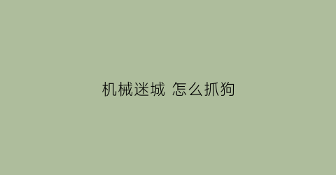 机械迷城 怎么抓狗